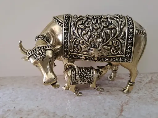 BRASS COW